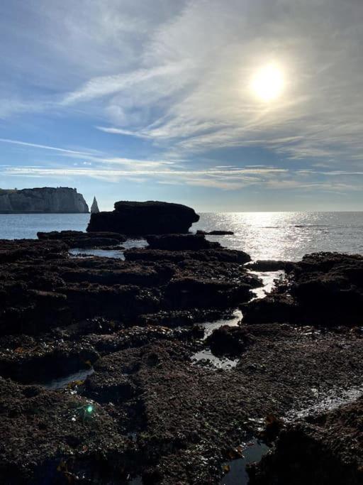 La Villa Lumaga Étretat Dış mekan fotoğraf